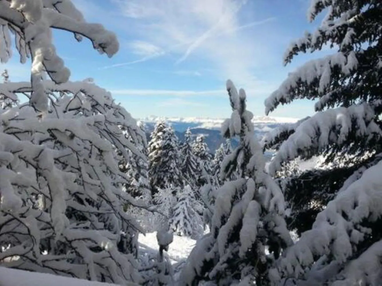 Chalet Des Lupins - Chalet 1P2 Chamrousse
